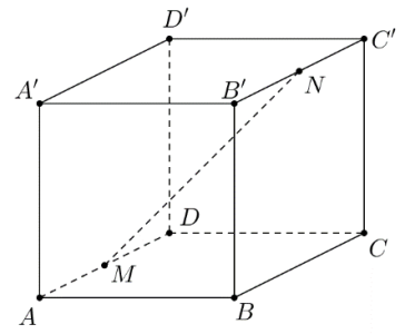 image7.png image7.png
