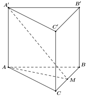 image9.png image9.png