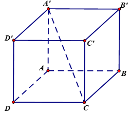 image5.png image5.png