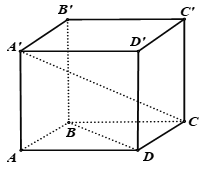 image5.png image5.png