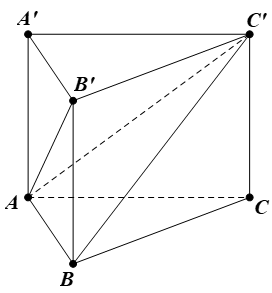 image8.png