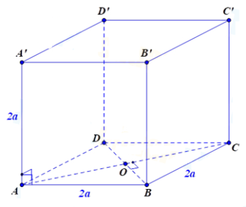 image13.png