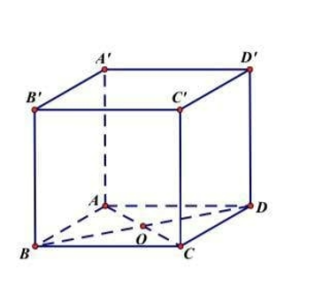 image9.png image9.png