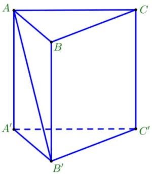 image4.png image4.png