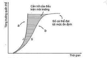 image3.png image3.png