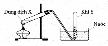image1.png image1.png