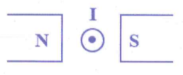 image1.png