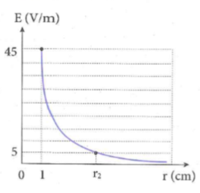image2.png image2.png