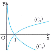 image2.png image2.png