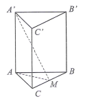 image5.png image5.png