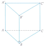 image7.png