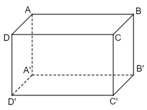 image17.png image17.png