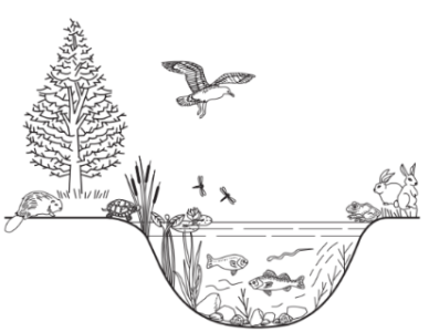 image1.png