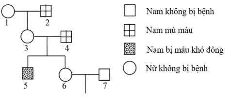 image2.png
