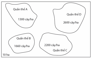 image3.png