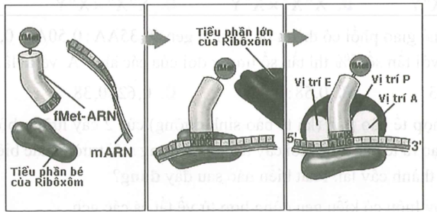 image1.png