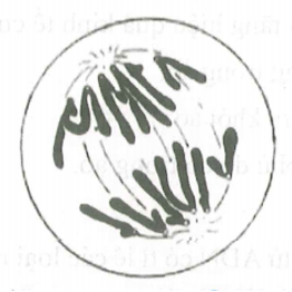image2.png