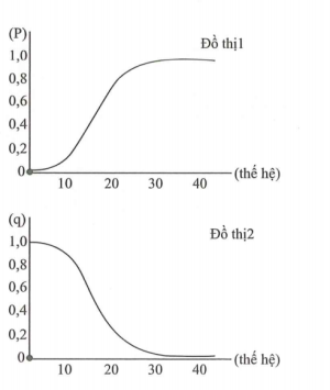 image7.png