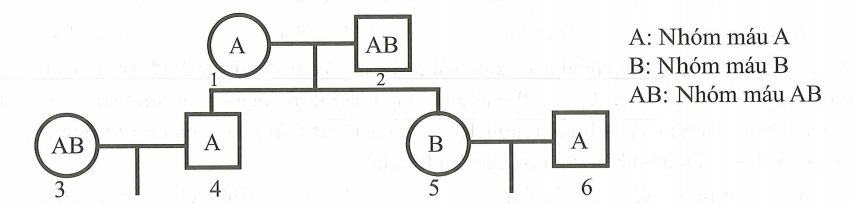 image8.png