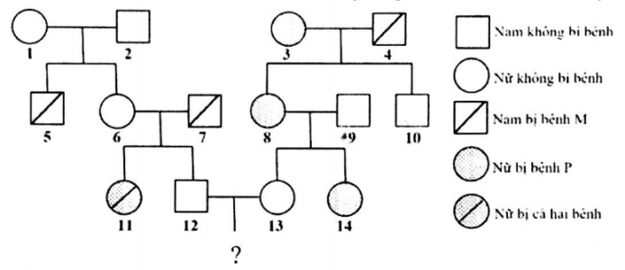 image1.png