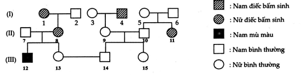 image1.png