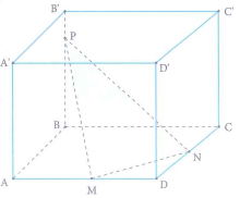 image11.png