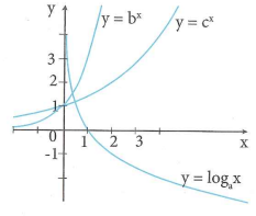 image4.png image4.png