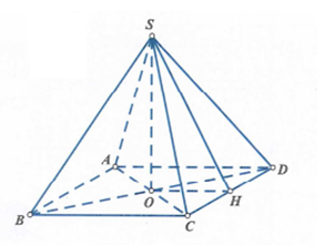 image6.png image6.png