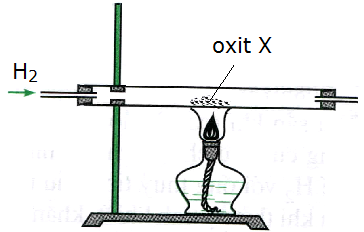 image1.png