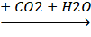 image1.png