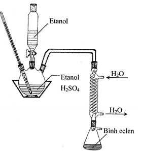 image1.png
