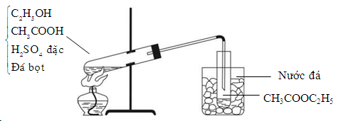 image1.png image1.png