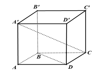 image9.png image9.png
