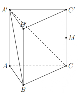 image10.png image10.png