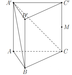 image4.png image4.png