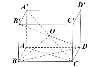 image6.png