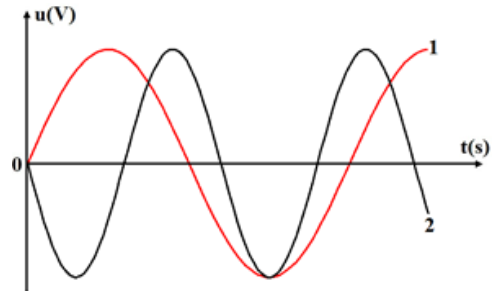 image5.png image5.png