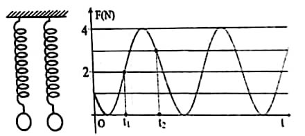 image1.jpg image1.jpg