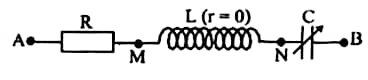 image5.jpg image5.jpg