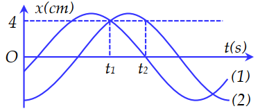 image1.png image1.png