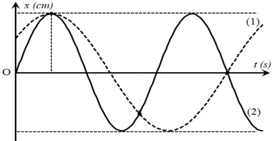 image6.png image6.png