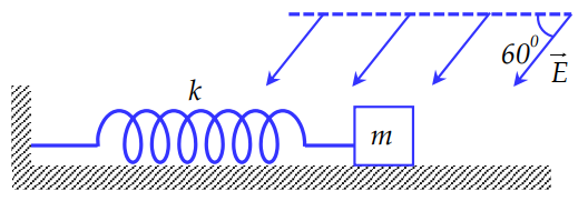 image4.png image4.png
