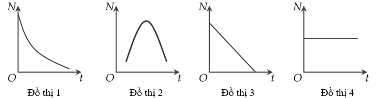 image2.png