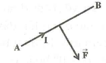 image1.png