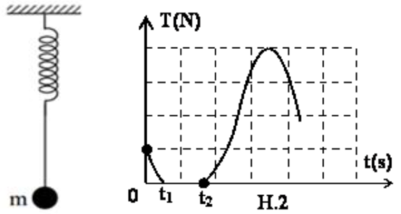 image3.png