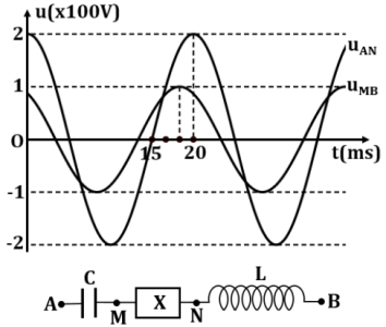 image6.png