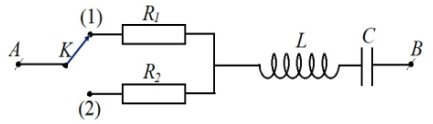 image7.png