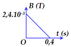 image1.png