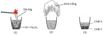 image1.png