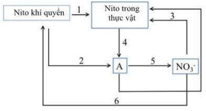 image1.png image1.png